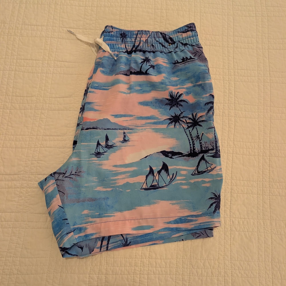 Chubbies Multicolor Swim Trunks - image 3